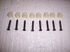HEADLIGHT BEZEL SCREWS & GROMMETS 8 BLACK 80-88 CK